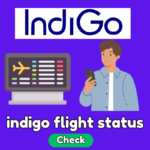 Indigo Airlines flight status update displayed on a digital screen, showing real-time departure and arrival information.