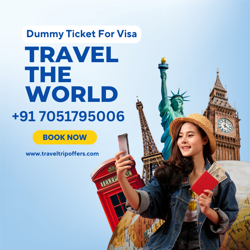 Dummy flight ticket for visa application showing travel itinerary and booking details