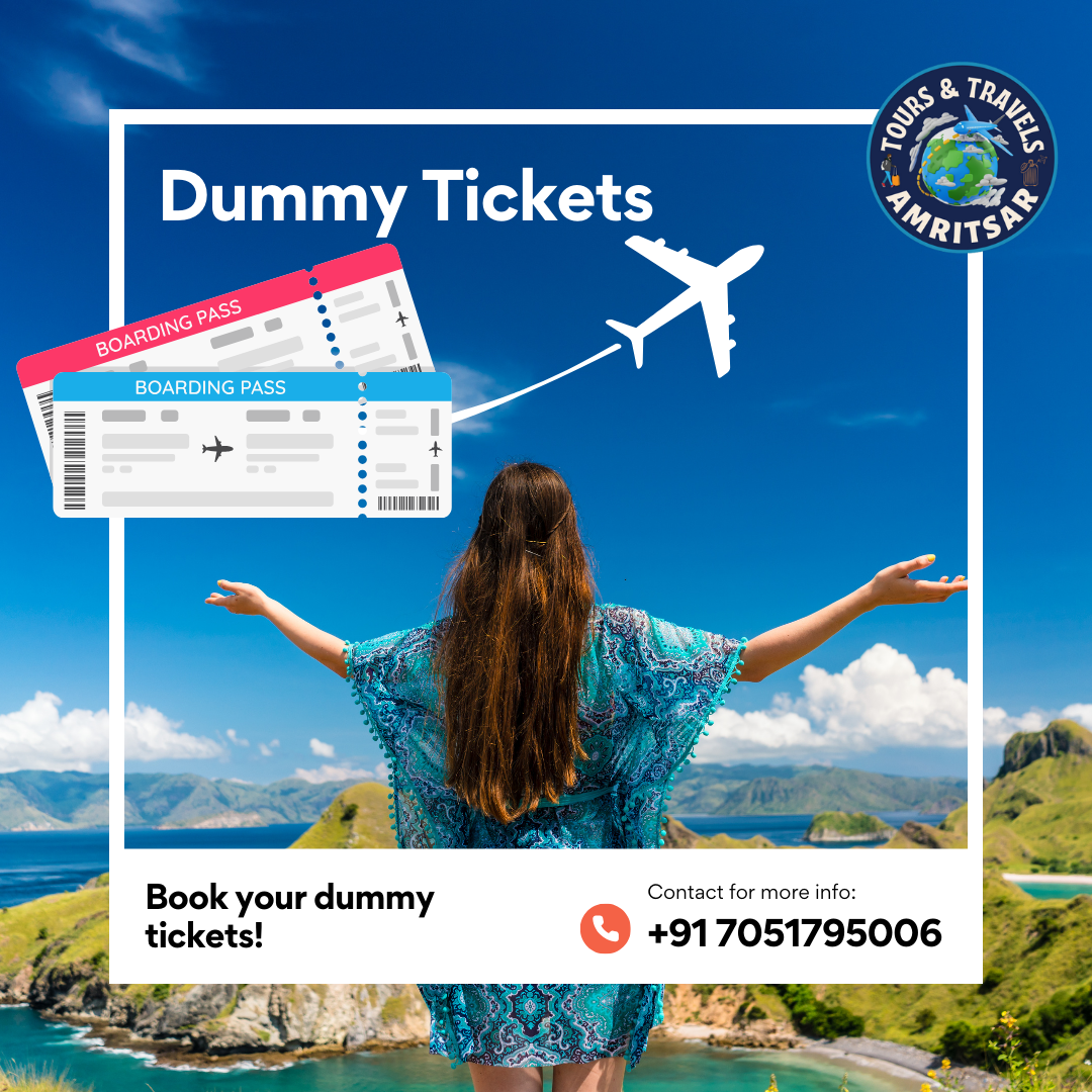 how to book dummy flight ticket